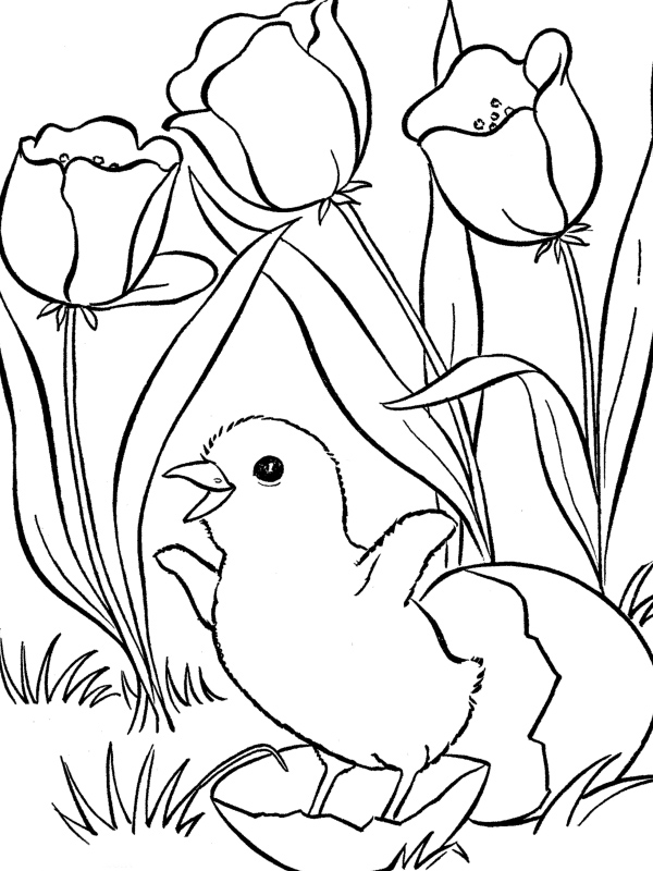 Dibujo para colorear: Chicken Little (Películas de animación) #73127 - Dibujos para Colorear e Imprimir Gratis