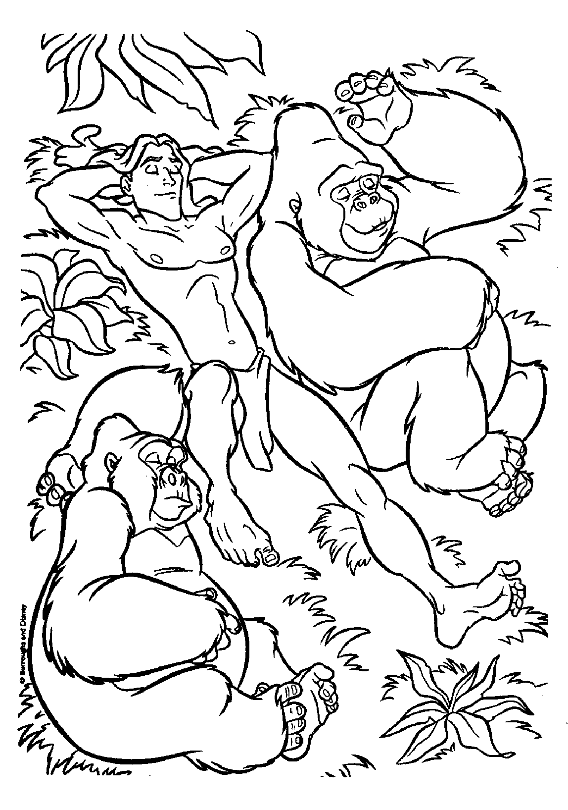 Dibujo para colorear: Tarzan (Películas de animación) #131325 - Dibujos para Colorear e Imprimir Gratis
