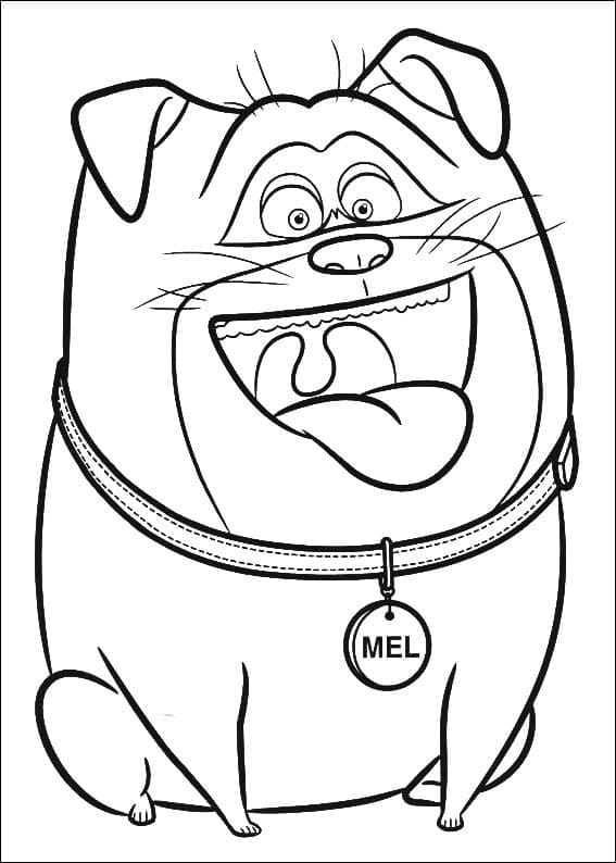 Dibujo gratuito The Secret Life of Pets #206633 de la coleccion Películas de Animación para imprimir