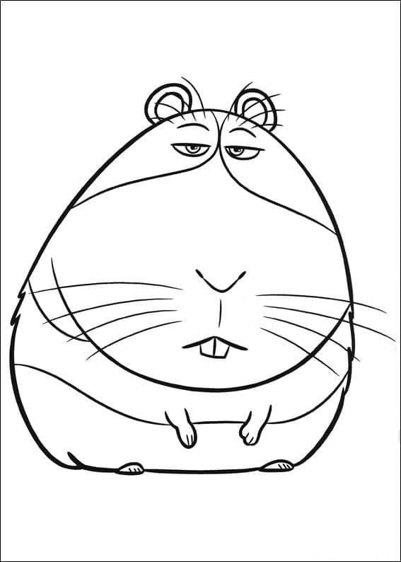 Dibujo gratuito The Secret Life of Pets #206634 de la coleccion Películas de Animación para imprimir