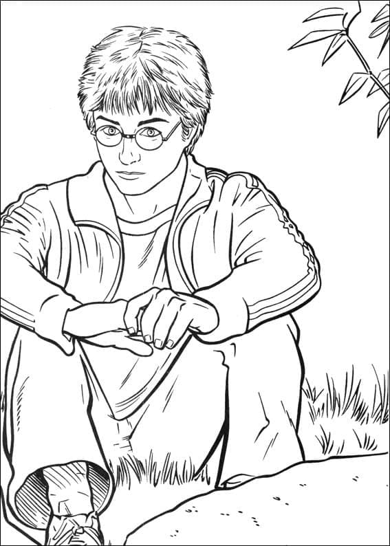 Dibujo gratuito Harry Potter #173755 de la coleccion Películas y Series de TV para imprimir