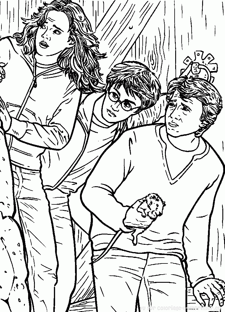 Dibujo gratuito Harry Potter #69898 de la coleccion Películas y Series de TV para imprimir Dibujo gratuito Harry Potter #69898 de la coleccion Películas y Series de TV para imprimir