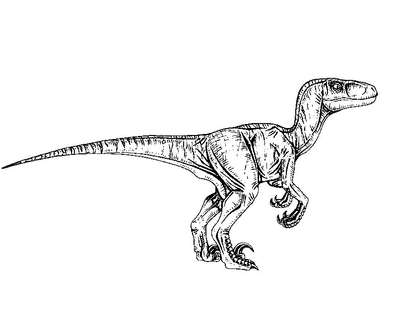 Dibujo para colorear: Parque Jurásico (Películas y Series de TV) #15888 - Dibujos para Colorear e Imprimir Gratis