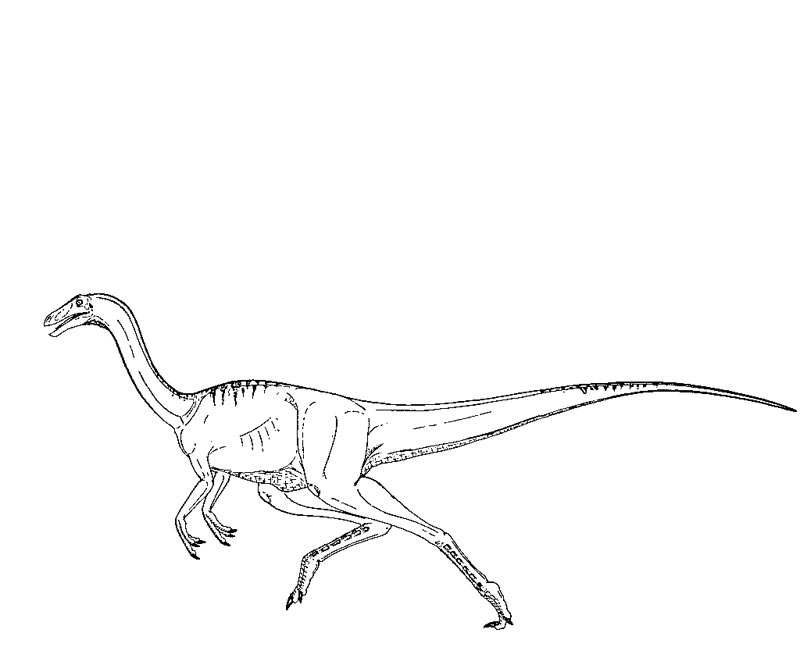 Dibujo para colorear: Parque Jurásico (Películas y Series de TV) #15903 - Dibujos para Colorear e Imprimir Gratis