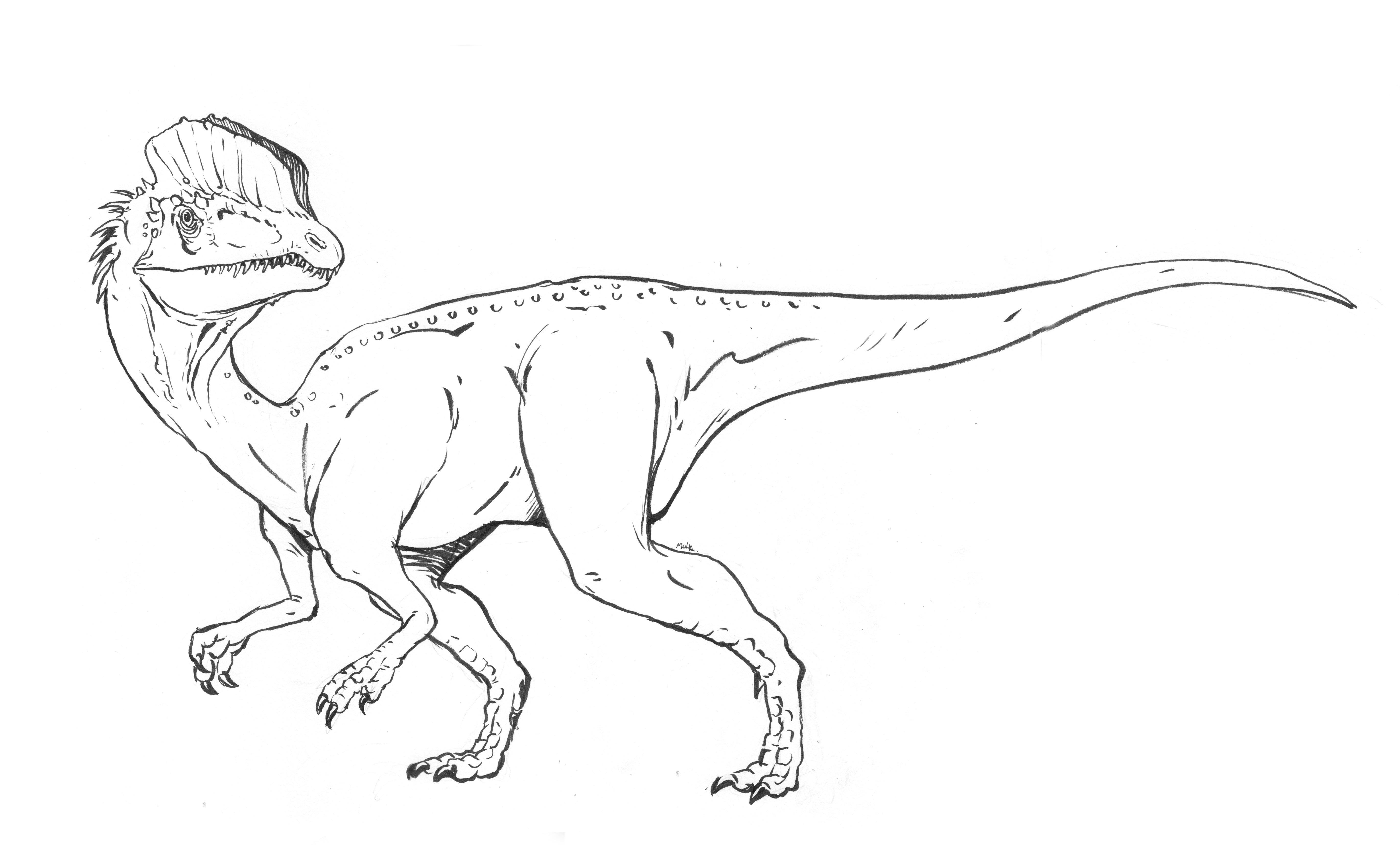Dibujo para colorear: Parque Jurásico (Películas y Series de TV) #16001 - Dibujos para Colorear e Imprimir Gratis