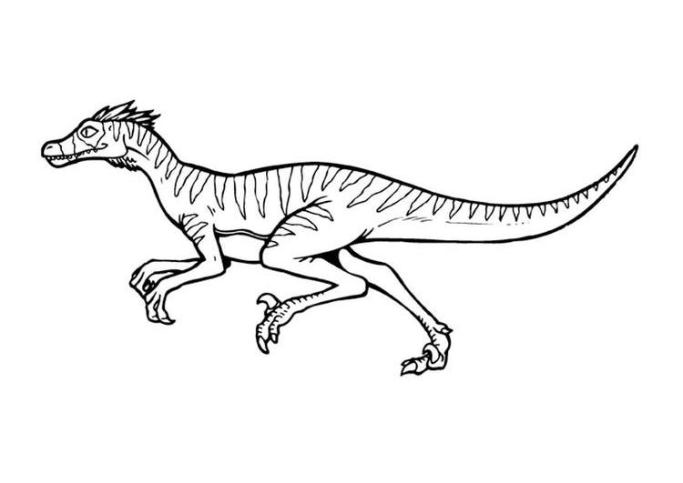 Dibujo para colorear: Jurassic Park (Películas) #15952 - Dibujos para Colorear e Imprimir Gratis