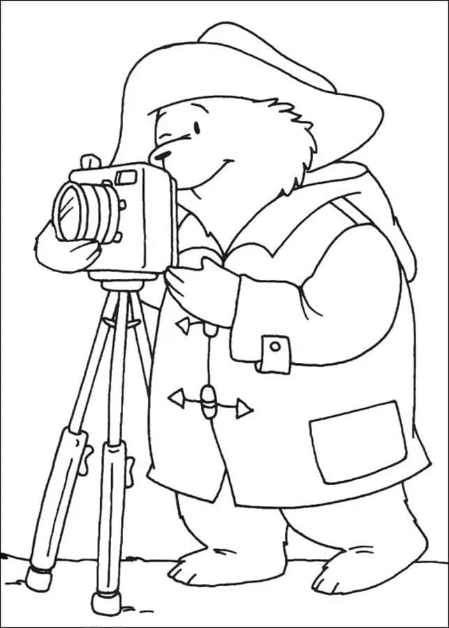 Dibujo gratuito Paddington #209494 de la coleccion Personajes de Dibujos Animados para imprimir