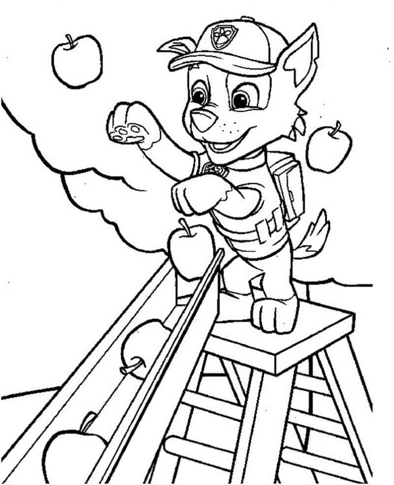 Dibujo gratuito Rocky PAW Patrol #181729 de la coleccion Personajes de Dibujos Animados para imprimir