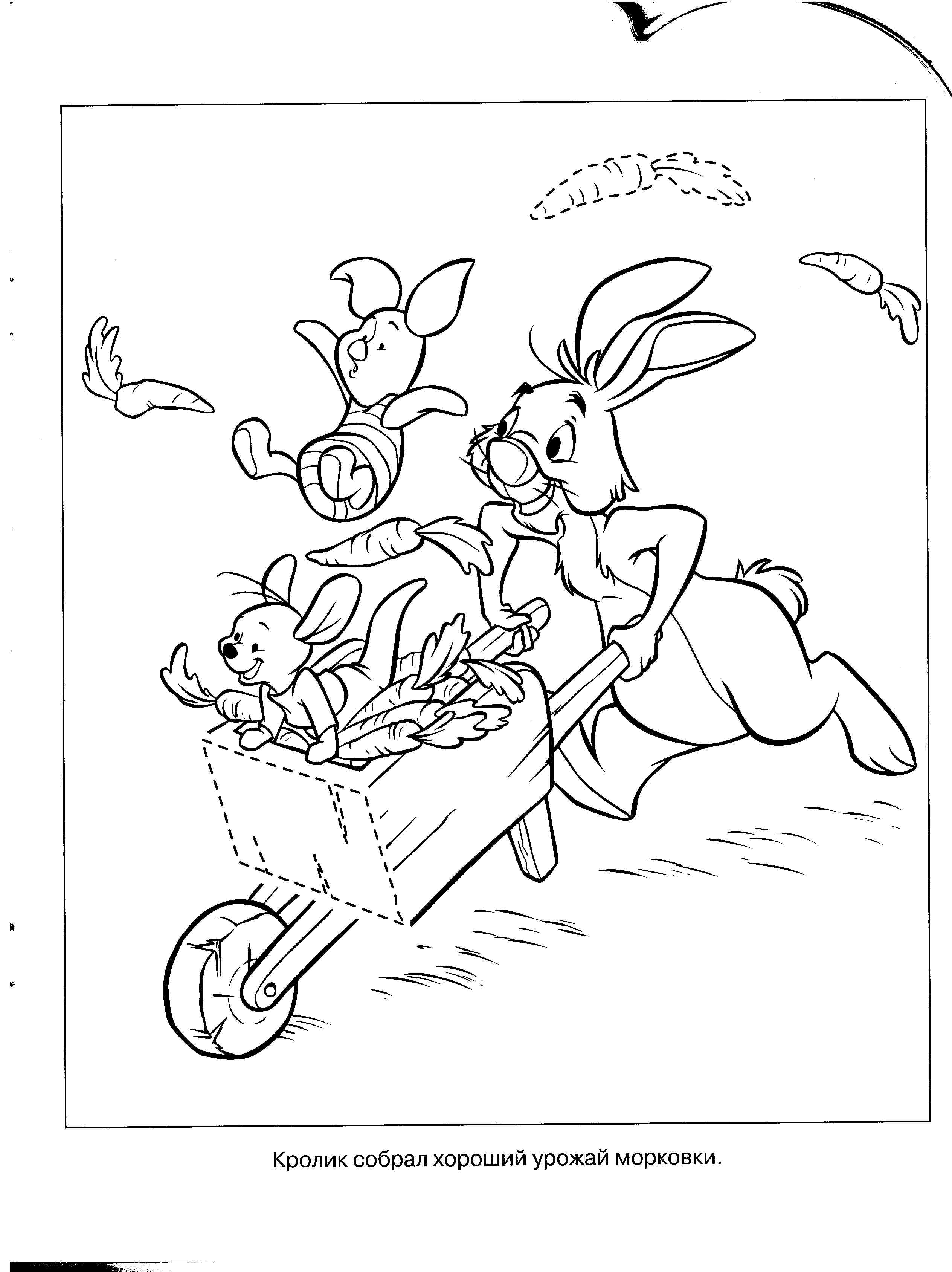 Dibujo gratuito Winnie Pooh #28772 de la coleccion Personajes de Dibujos Animados para imprimir