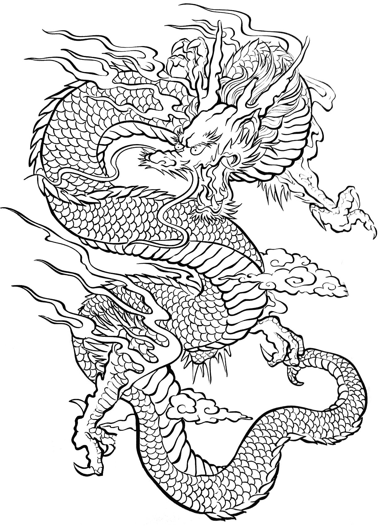 Dibujo para colorear: Dragón (Personajes) #148394 - Dibujos para Colorear e Imprimir Gratis