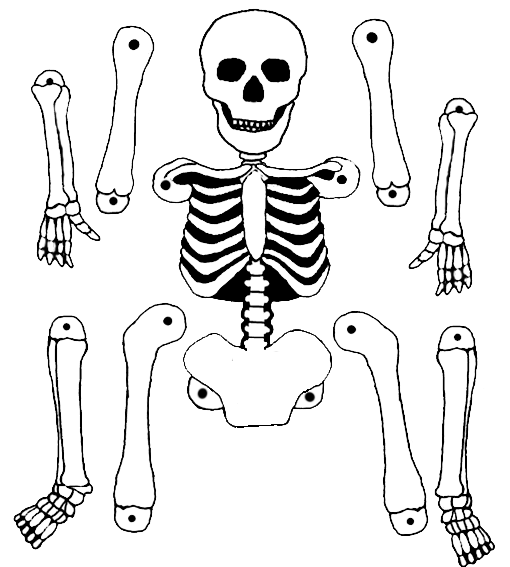 Dibujos de Esqueleto #147465 (Personajes) para colorear y pintar – Páginas  para imprimir