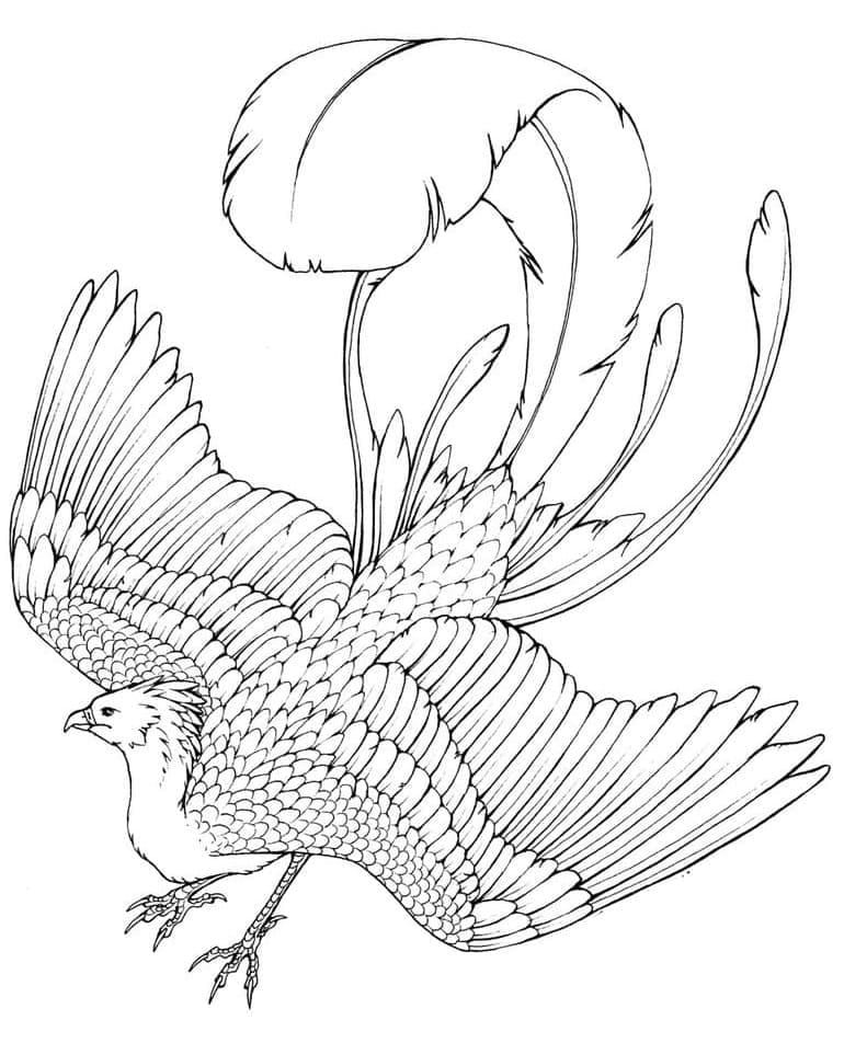 Dibujo gratuito Fénix #192252 de la coleccion Personajes para imprimir
