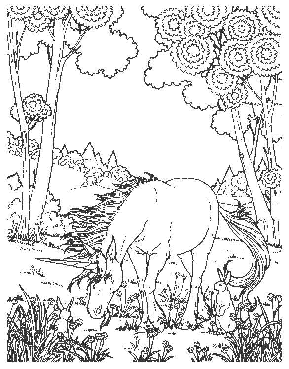 Dibujo para colorear: Unicornio (Personajes) #19468 - Dibujos para Colorear e Imprimir Gratis