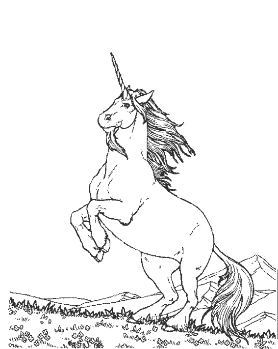 Dibujo para colorear: Unicornio (Personajes) #19552 - Dibujos para Colorear e Imprimir Gratis