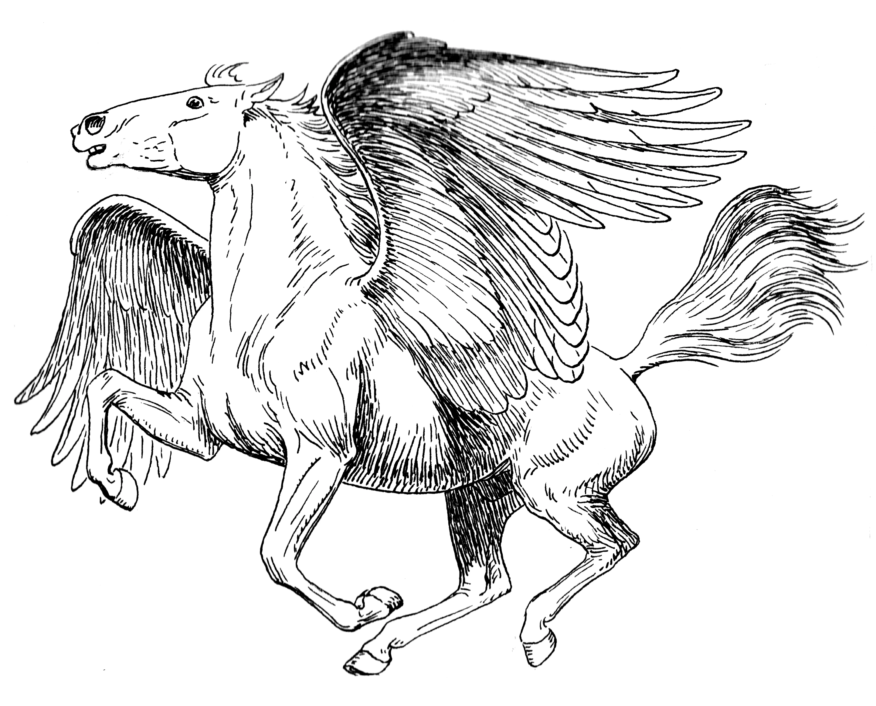 Dibujo gratuito Mitología Griega #109724 de la coleccion Religión y Mitología para imprimir