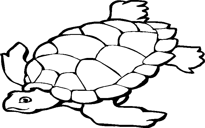 Dibujo para colorear: Ninja Turtles (Superhéroes) #75554 - Dibujos para Colorear e Imprimir Gratis