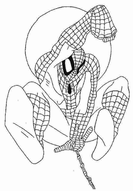 Dibujo para colorear: Spiderman (Superhéroes) #78678 - Dibujos para Colorear e Imprimir Gratis