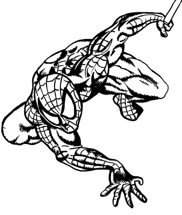 Dibujo para colorear: Spiderman (Superhéroes) #78752 - Dibujos para Colorear e Imprimir Gratis
