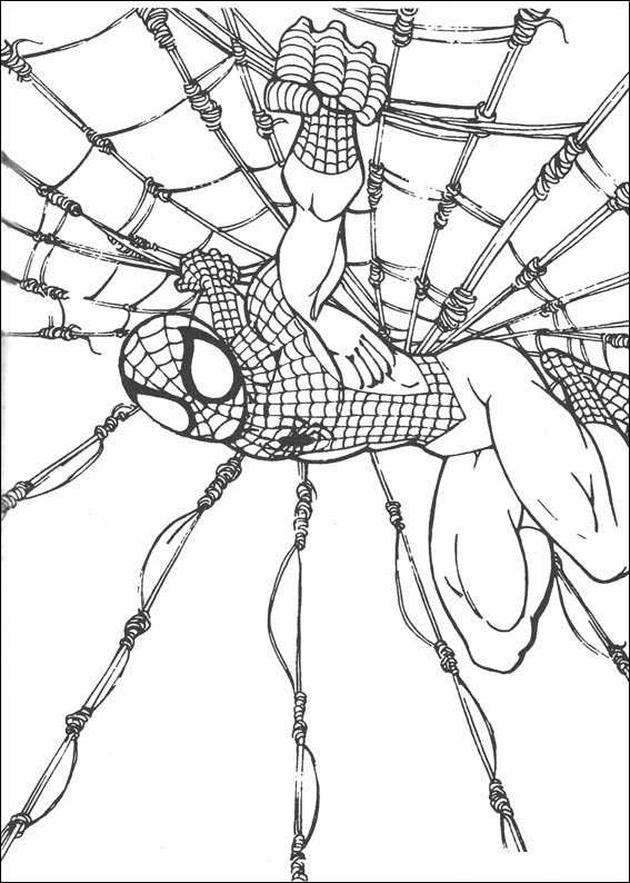 Dibujo para colorear: Spiderman (Superhéroes) #78793 - Dibujos para Colorear e Imprimir Gratis
