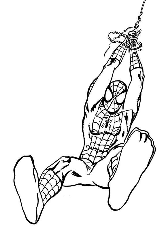 Dibujos de Spiderman #78826 (Superhéroes) para colorear y pintar – Páginas  para imprimir