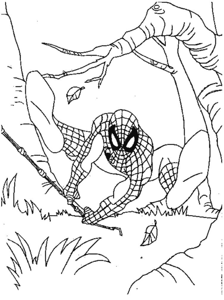 Dibujo para colorear: Spiderman (Superhéroes) #78844 - Dibujos para Colorear e Imprimir Gratis