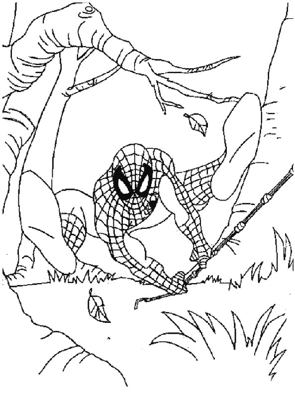 Dibujo para colorear: Spiderman (Superhéroes) #78893 - Dibujos para Colorear e Imprimir Gratis