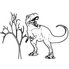 Dibujo para colorear: Dinosaurio (Animales Prehistóricos) #5505 - Dibujos para Colorear e Imprimir Gratis