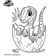 Dibujo para colorear: Dinosaurio (Animales Prehistóricos) #5538 - Dibujos para Colorear e Imprimir Gratis