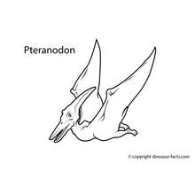 Dibujo para colorear: Dinosaurio (Animales Prehistóricos) #5594 - Dibujos para Colorear e Imprimir Gratis