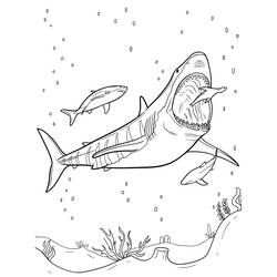 Dibujo para colorear: Megalodón (Animales Prehistóricos) #220710 - Dibujos para Colorear e Imprimir Gratis