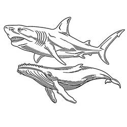 Dibujo para colorear: Megalodón (Animales Prehistóricos) #220721 - Dibujos para Colorear e Imprimir Gratis