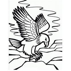 Dibujo Águila (Animales) #185154 para imprimir y colorear
