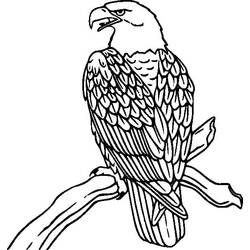 Dibujo Águila (Animales) #185158 para imprimir y colorear