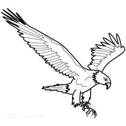 Dibujo Águila (Animales) #185160 para imprimir y colorear