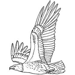 Dibujo Águila (Animales) #185161 para imprimir y colorear
