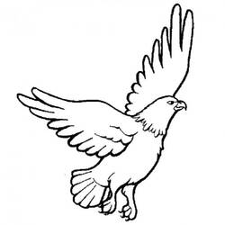 Dibujo Águila (Animales) #185166 para imprimir y colorear