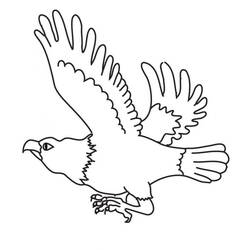 Dibujo Águila (Animales) #185167 para imprimir y colorear