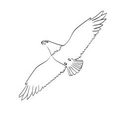 Dibujo Águila (Animales) #185169 para imprimir y colorear