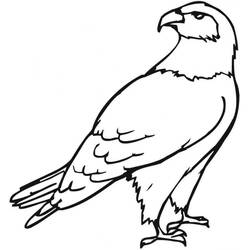 Dibujo Águila (Animales) #185171 para imprimir y colorear