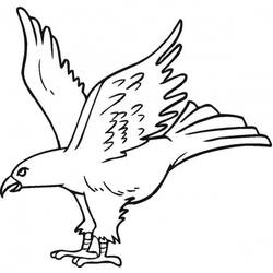 Dibujo Águila (Animales) #185173 para imprimir y colorear