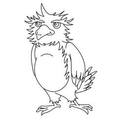 Dibujo Águila (Animales) #185177 para imprimir y colorear