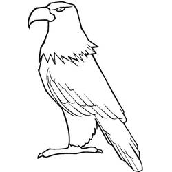 Dibujo Águila (Animales) #185181 para imprimir y colorear