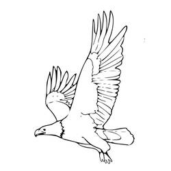 Dibujo Águila (Animales) #185182 para imprimir y colorear
