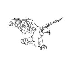 Dibujo Águila (Animales) #185183 para imprimir y colorear