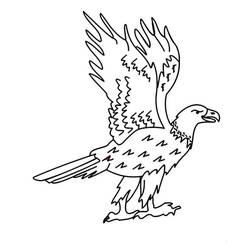 Dibujo Águila (Animales) #185184 para imprimir y colorear