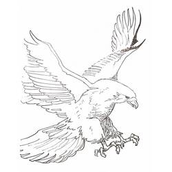 Dibujo Águila (Animales) #185185 para imprimir y colorear