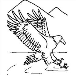 Dibujo Águila (Animales) #185186 para imprimir y colorear