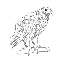 Dibujo Águila (Animales) #185187 para imprimir y colorear