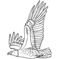 Dibujo para colorear: Águila (Animales) #280 - Dibujos para Colorear e Imprimir Gratis