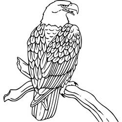 Dibujo para colorear: Águila (Animales) #308 - Dibujos para Colorear e Imprimir Gratis